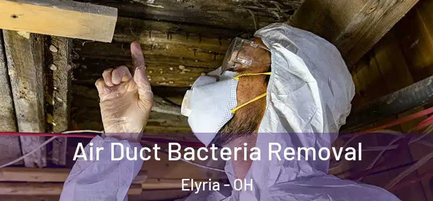 Air Duct Bacteria Removal Elyria - OH
