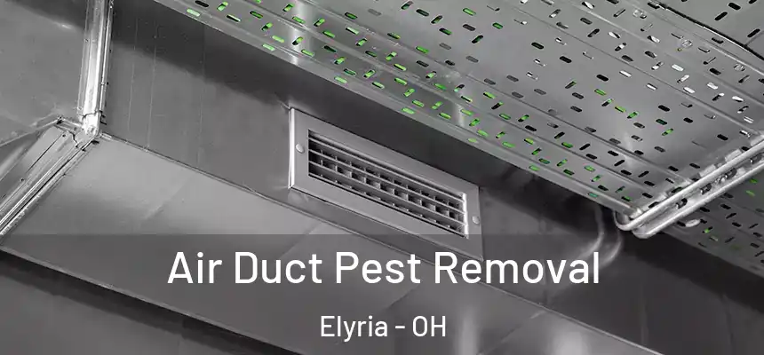 Air Duct Pest Removal Elyria - OH