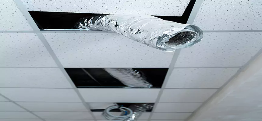 Our Air Duct Pet Hair Removal Services in Elyria, OH