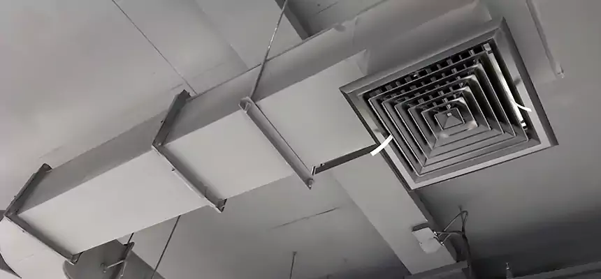 Restorative Allergy Relief Vent Cleaning – Coil, Blower & Housing Detail in Elyria