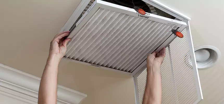 Our Insect Removal from Air Ducts Services in Elyria, OH