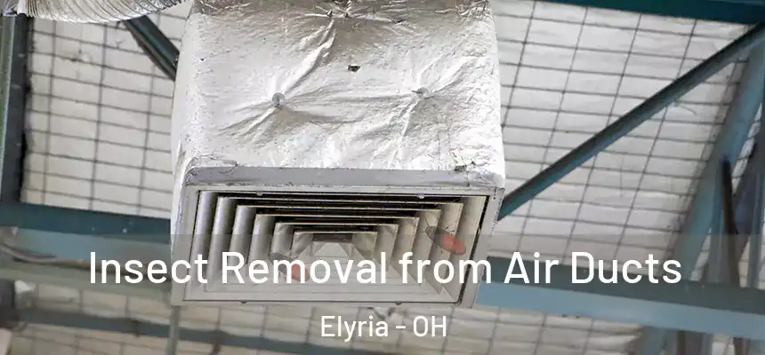  Insect Removal from Air Ducts Elyria - OH