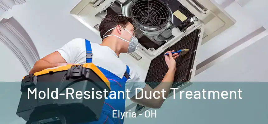  Mold-Resistant Duct Treatment Elyria - OH