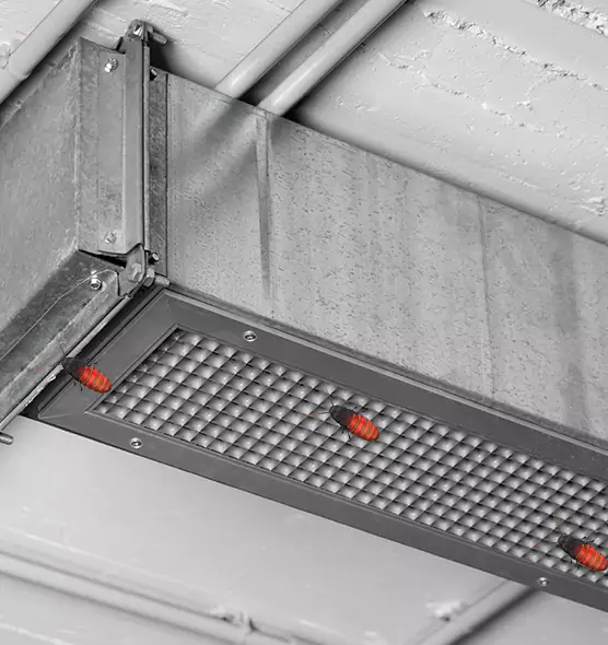 Affordable Insect Removal from Air Ducts in Elyria, OH