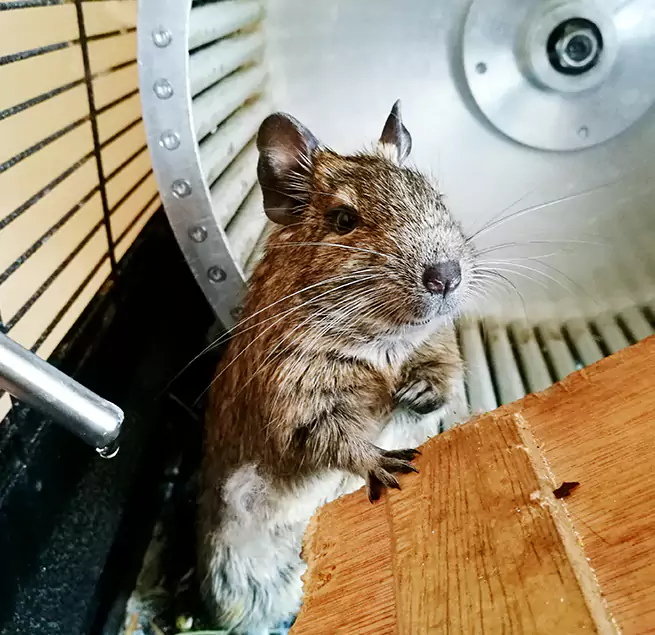 Why Homeowners & Businesses Trust Us Elyria, OH